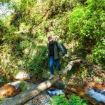 Homme traversant rivière en équilibre sur un arbre.