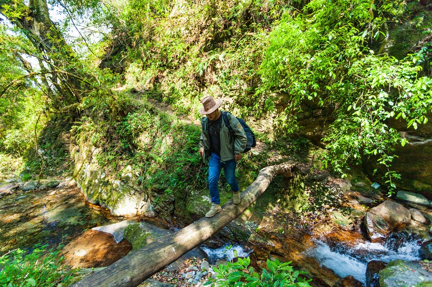 Homme traversant rivière en équilibre sur un arbre.